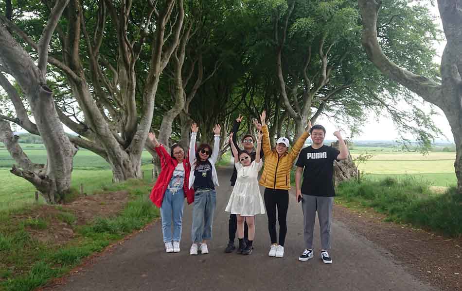 customers at dark hedges