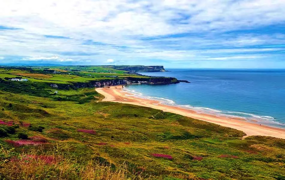 a beach with a body of water and grass with Bells Beach, Victoria in the background