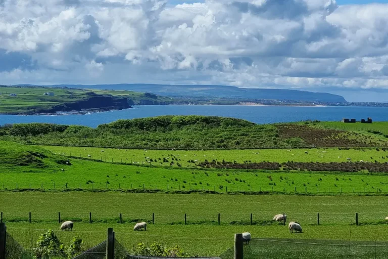 Coastal countryside along the Causeway Coastal Route in Northern Ireland