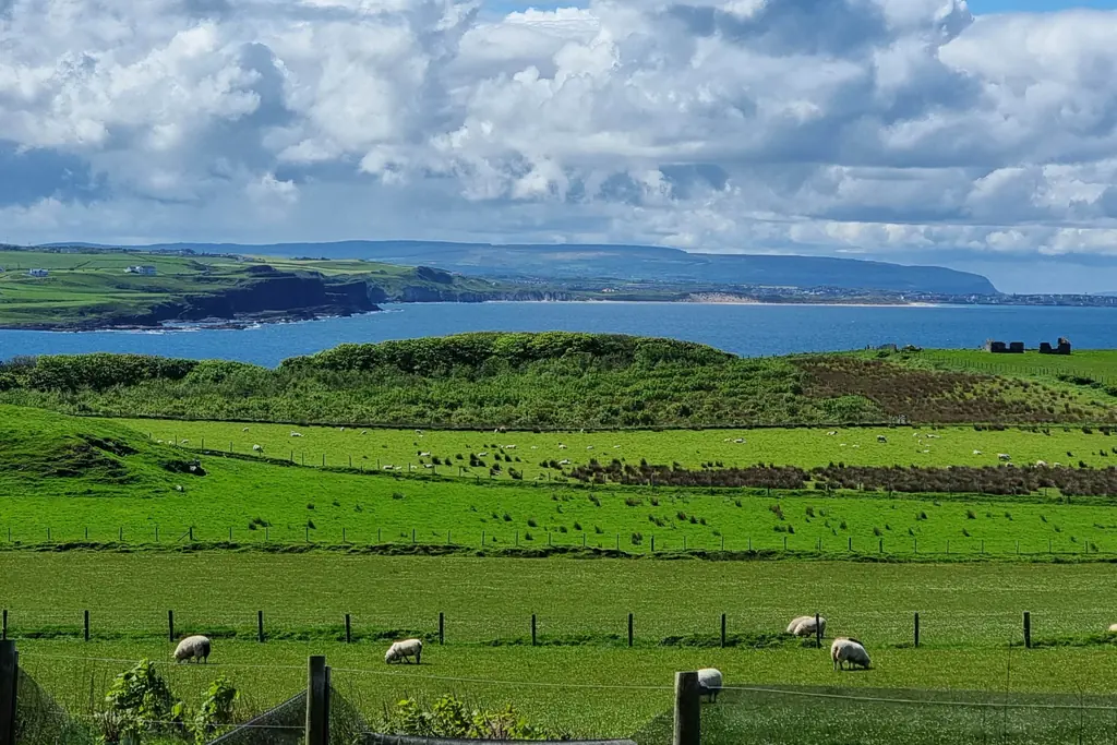 Scenic Causeway Coast view with green fields and Atlantic Ocean
