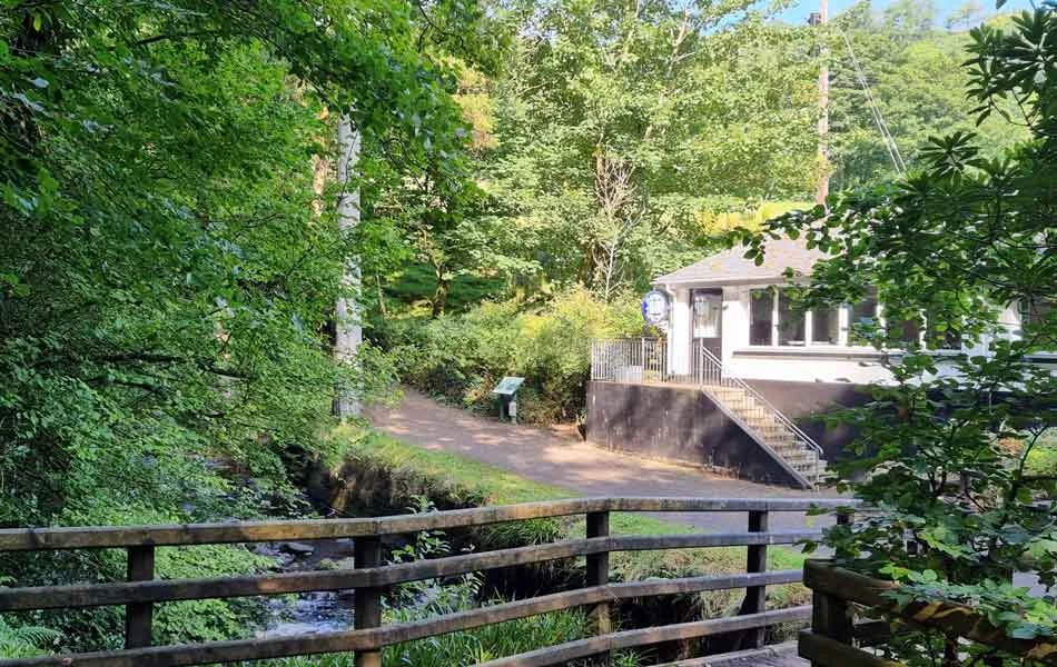 Glenariff-Forest-Park-1-1