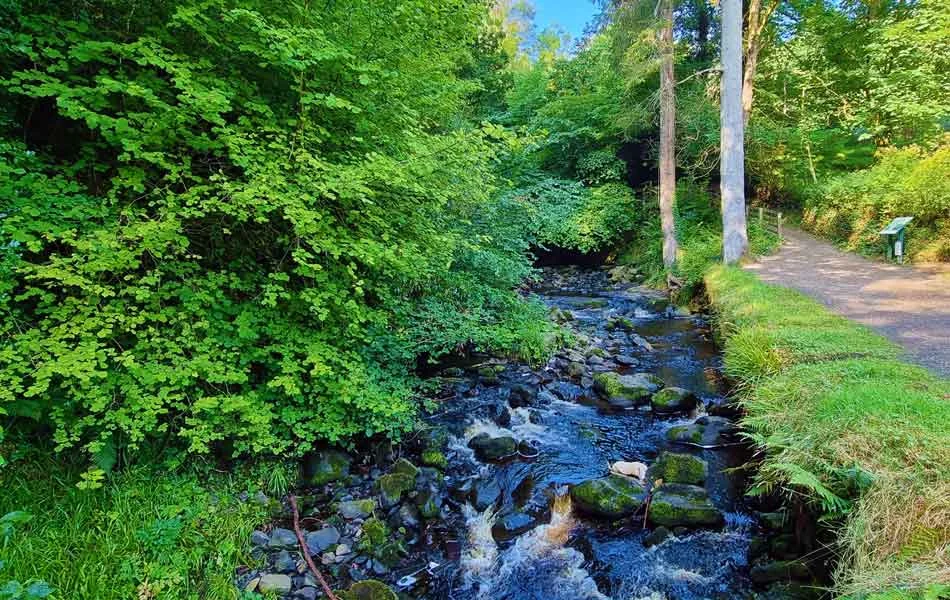 Glenariff-River-Walk