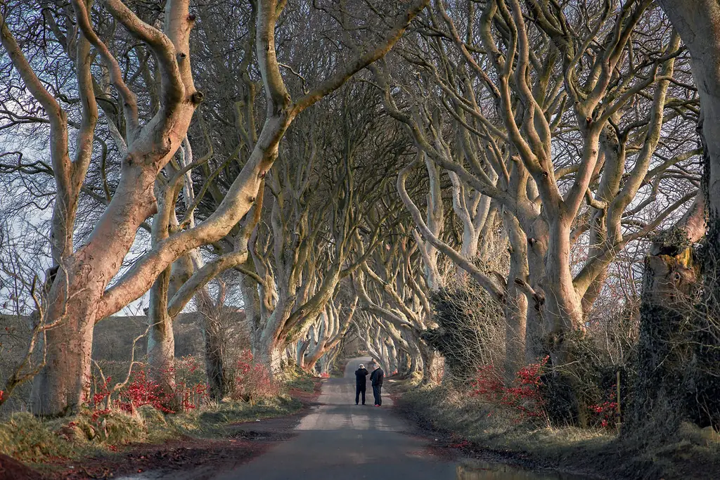 Northern Ireland tour packages