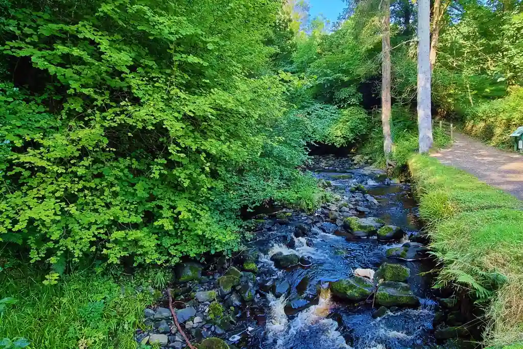glenariff forest park waterfall antrim